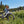 Rad Power e-Bikes Steelhead Green / Step-Thru Rad Power RadRover 6 Plus Fat Tire  E-Bike Step-Through