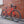 SALSA Used Bikes Pre-Owned Salsa Journeyman 54cm Red