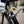 Schwinn Used Bikes Schwinn Superior Vintage Black Original Size 53/54 cm