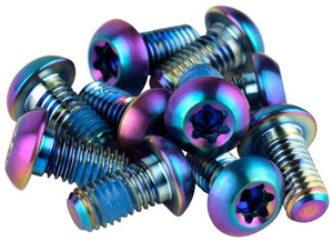 SRAM Disc Rotor SRAM Titanium T25 Rotor Bolt Kit - Rainbow Set of 12