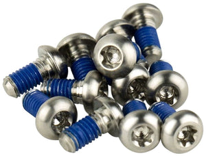 SRAM Disc Rotor SRAM Titanium T25 Rotor Bolt Kit - Silver Set of 12
