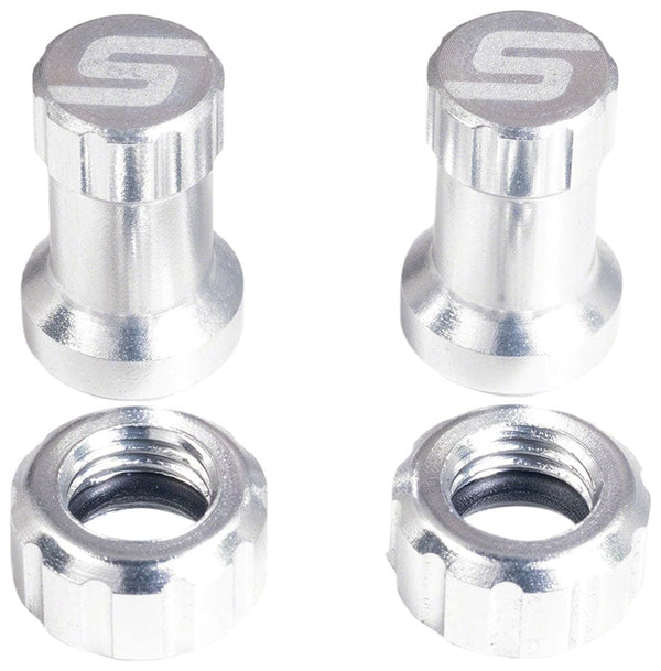 Stan's Valve Caps & Parts Silver Stan's Tubeless Valve Stem Cap Color Kit - Pair