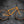 Surly Mountain Dream Tangerine / X-Small Surly Lowside 27.5