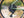 Surly Mountain Surly  Grappler