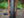 Surly Mountain Surly Krampus 29+ Rigid Mountain Bike