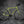 Surly Touring Pea Lime Soup / 56 cm Surly Disc Trucker 700c