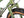 Tanglefoot Mountain Tanglefoot Moonshiner