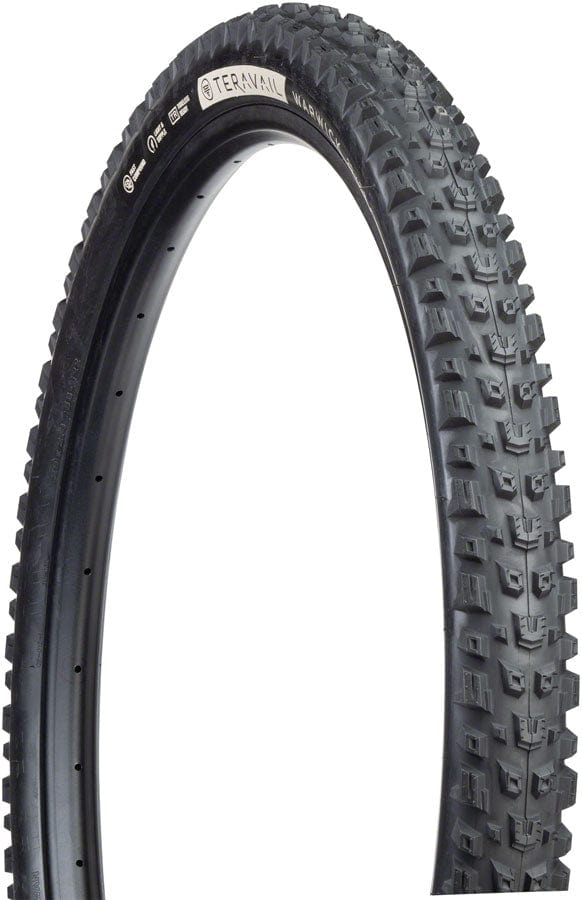 Teravail Tires 29 X 2.3 / Black / Light Supple Fast Teravail Warwick Tire