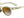 Tifosi Optics SunGlasses Tifosi Optics Svago Sunglasses