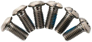 TRP Disc Rotor TRP Disc Brake Rotor Torx Bolts - Titanium T25 6 pk.