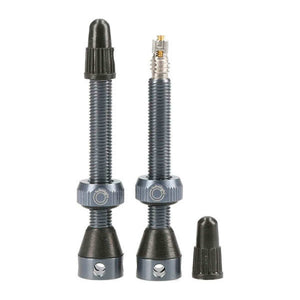 Tubolight Air Valve 50mm Gray Pair 