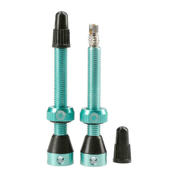 Tubolight Air Valve 50mm Turquoise Pair 