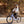 Velotric e-Bikes Velotric Breeze 1 E-Bike Cruiser