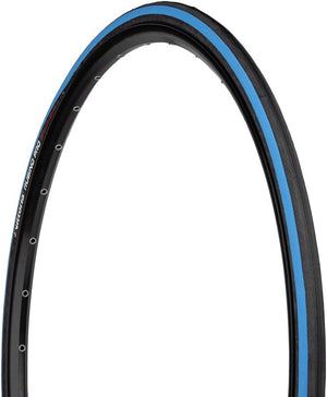 Vittoria Tires Vittoria Rubino Pro Tire - 700 x 25 Clincher Folding Black/Blue G2.0