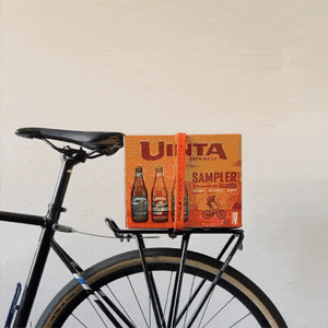 Voile BagsPanniers Voile Rack Strap 25 inch 10mm Hook Orange