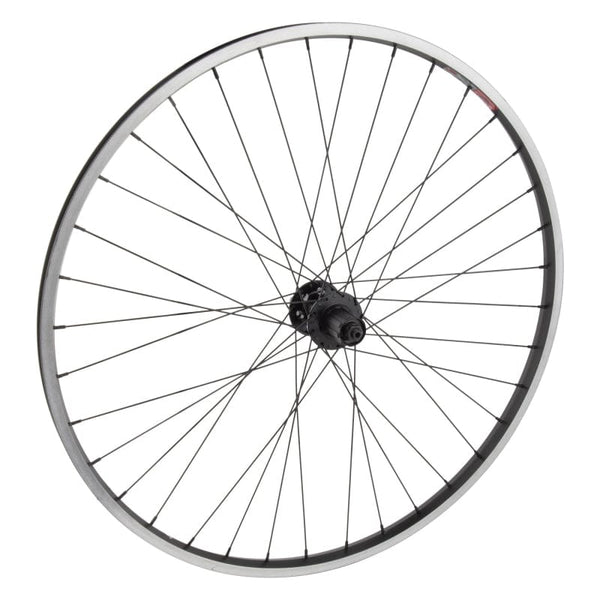 Wheel master Wheels Wheel master 29in Cruiser/Comfort 29in Wheel Rear