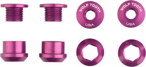 Wolf Tooth Chainring Bolts and Hardware Set/4 / Purple Wolf Tooth 1x Chainring Bolt Set - 6mm Dual Hex Fittings