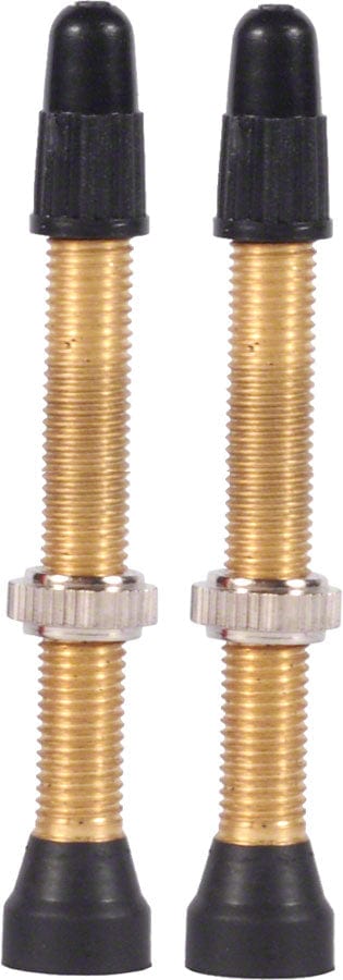 WTB Tubeless Valves WTB TCS Standard PV 46mm 2pcs